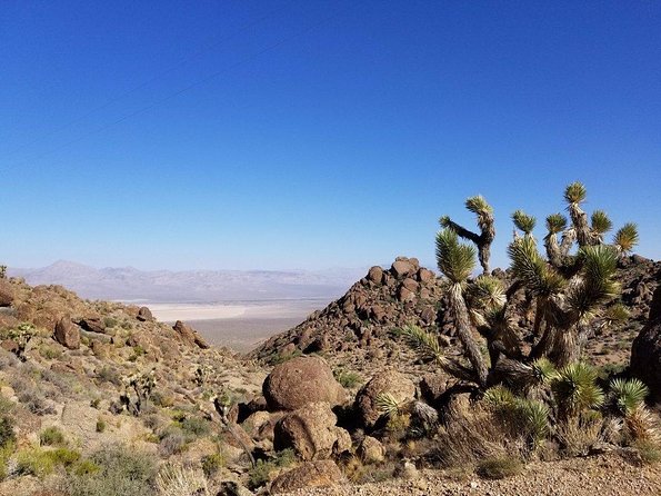 Guided or Self-Guided Road Bike Tour of Red Rock Canyon - Price and what $129.99 buys you