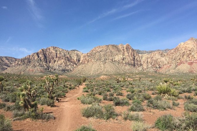 Guided or Self-Guided Road Bike Tour of Red Rock Canyon - The real itinerary moment: stop at Red Rock’s visitor-area cycling hub