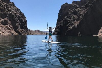 Half-Day Colorado River Paddleboard Trip - Getting on the Paddleboard: Safety Training Without the Fear Factor