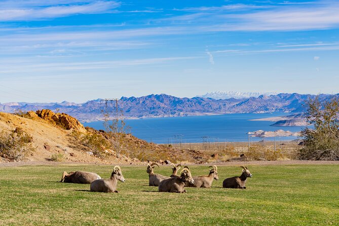Hoover Dam and Lake Mead Self-Guided Audio Tour - Boulder Beach, Sunset Overlook, and the 33 Hole Lookout