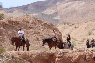 Horseback Ride in Las Vegas with Meal - The horses and gear: what makes this feel beginner-friendly