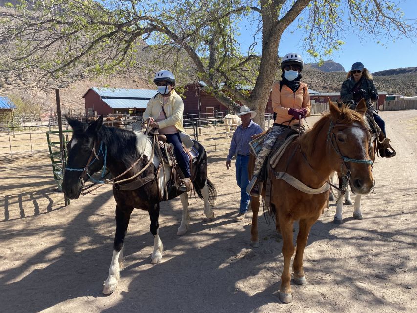 Horseback Ride thru Joshua Tree Forest with Buffalo & Lunch - Who this tour is best for