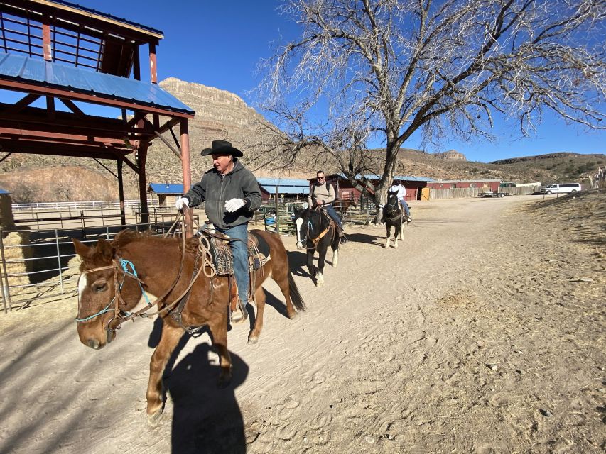 Horseback Ride thru Joshua Tree Forest with Buffalo & Lunch - A true Joshua Tree horseback day, built around the trail