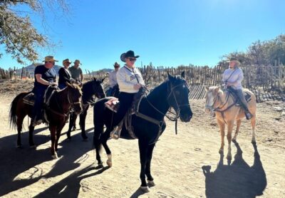 Horseback Ride thru Joshua Tree Forest with Buffalo & Lunch - Pickup van ride from Las Vegas, Laughlin, Kingman, and Lake Havasu City