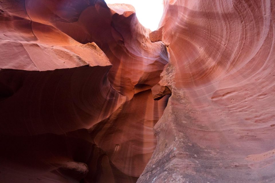 LA: Vegas, Grand Canyon, Antelope and Bryce, Zion 4-Day Tour - Las Vegas Strip night: the loud welcome you earn