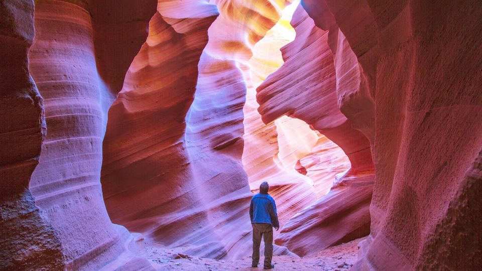 Las Vegas: Antelope Canyon & Horseshoe Bend Tour - Key highlights worth your attention