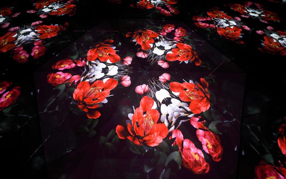 Las Vegas: Arte Museum Las Vegas Immersive Art Exhibition - Key highlights to plan around