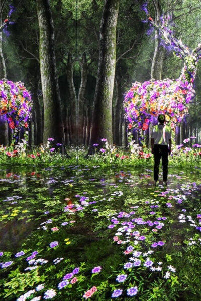 Las Vegas: Arte Museum Las Vegas Immersive Art Exhibition - Tickets, timing, and what a $50 day entry really buys