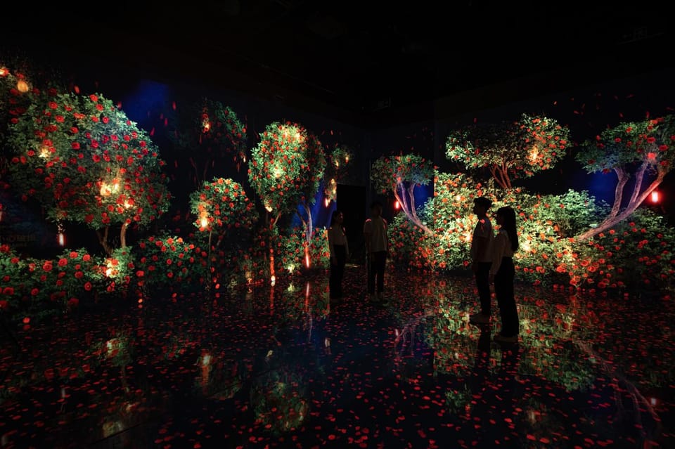 Las Vegas: Arte Museum Las Vegas Immersive Art Exhibition - Practical tips so you get the best hour