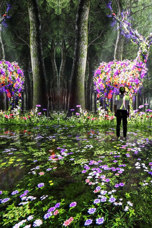 Las Vegas: Arte Museum Las Vegas Immersive Art Exhibition - Tickets, timing, and what a $50 day entry really buys