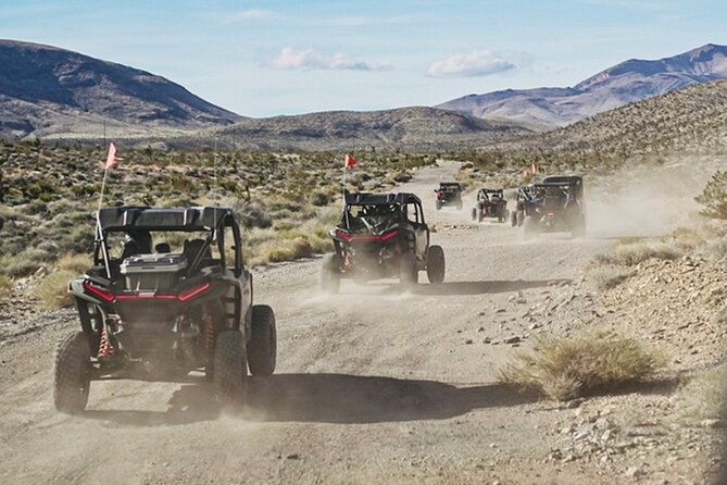 Las Vegas ATV Tour with Free Transportation - Pioneer Saloon finale: bullet holes, old-school character, and a proper Vegas break