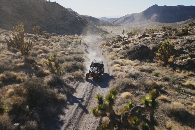 Las Vegas ATV Tour with Free Transportation - Who this tour fits best (and who should reconsider)