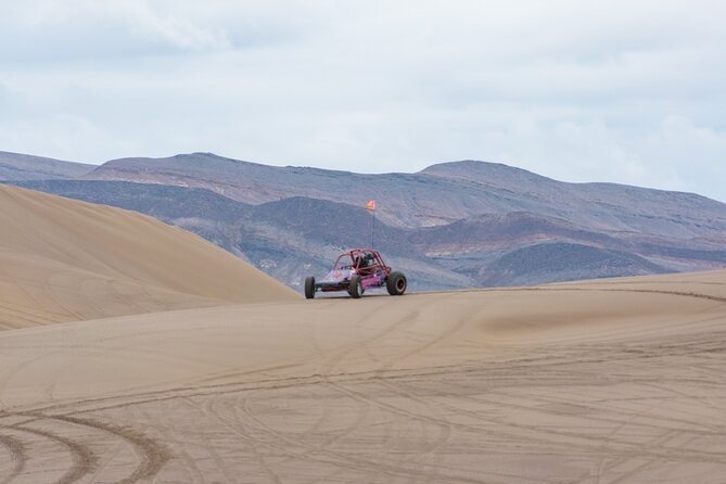 Las Vegas Big Dune Free Roam Adventure at Amargosa - Your Ride Options: ATV, UTV Buggy, or Dune Buggy