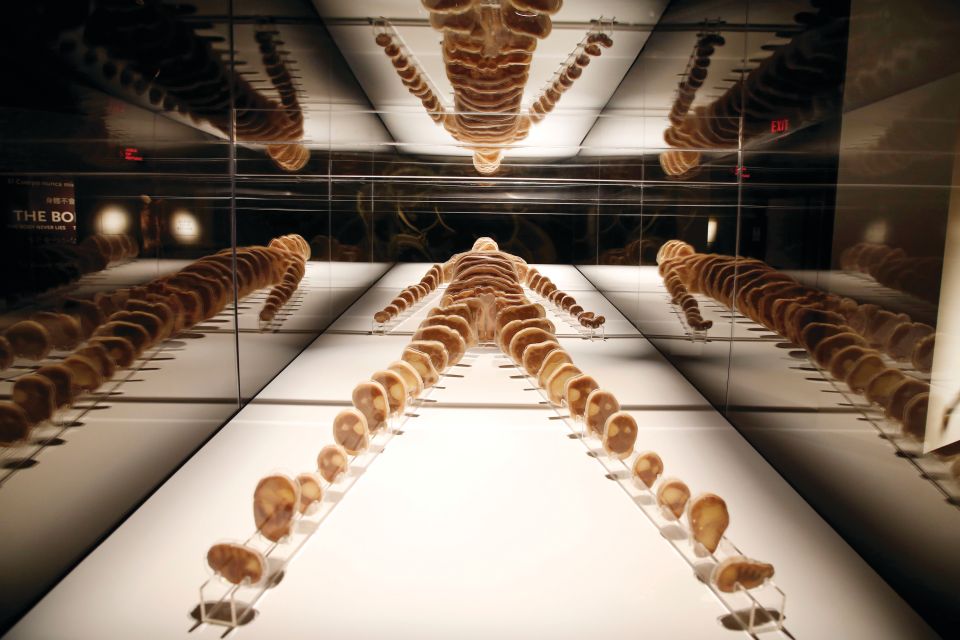 Las Vegas: BODIES | The Exhibition at the Luxor - Respiratory Lessons: Healthy Lung vs Black Lung