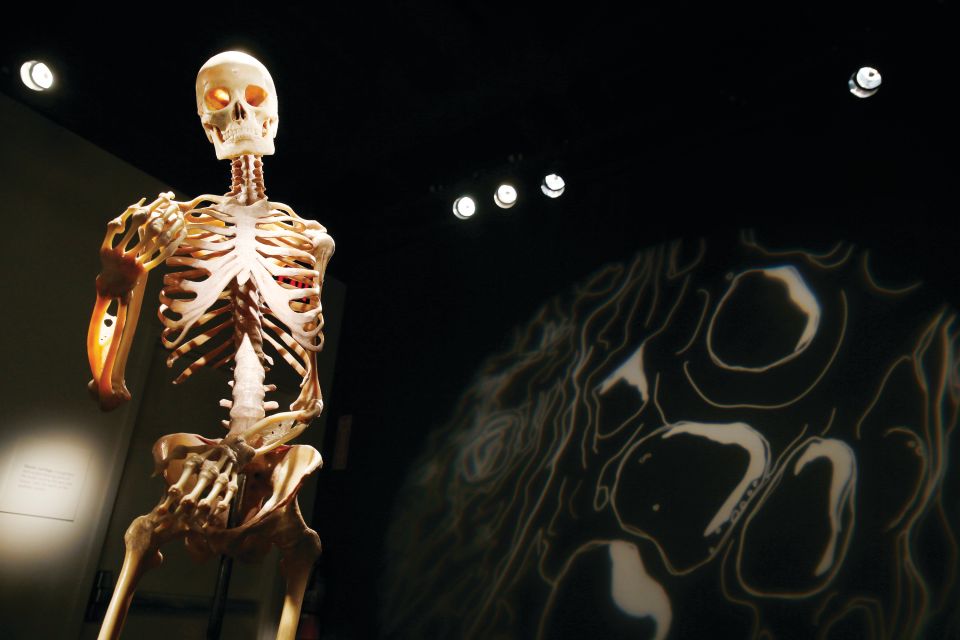Las Vegas: BODIES | The Exhibition at the Luxor - Disease, Overeating, and Inactivity: How Lifestyle Shows Up