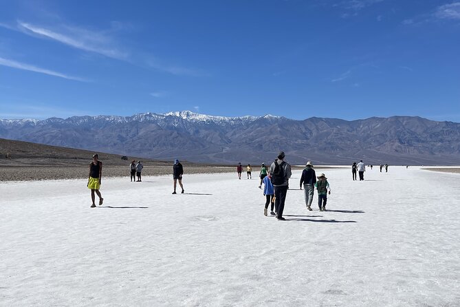 LAS VEGAS: Death Valley, Seven Magic Mountains & Vegas Sign TOUR - A one-day route that hits real variety