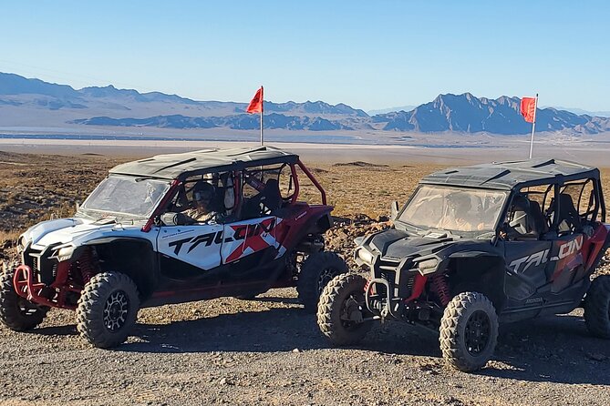 Las Vegas Desert Buggy Experience - Mandalay Bay pickup: fast, simple, and actually helpful