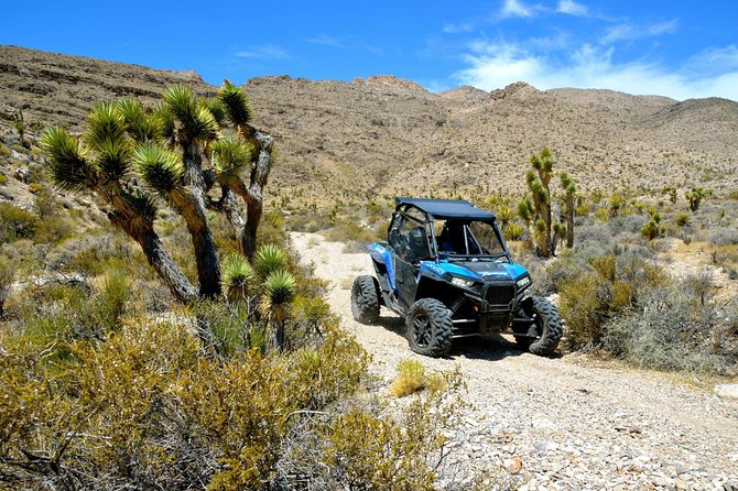 Las Vegas Desert RZR Adventure Tour at the Pioneer Saloon - RZR Driving 101: How the Day Feels Behind the Wheel