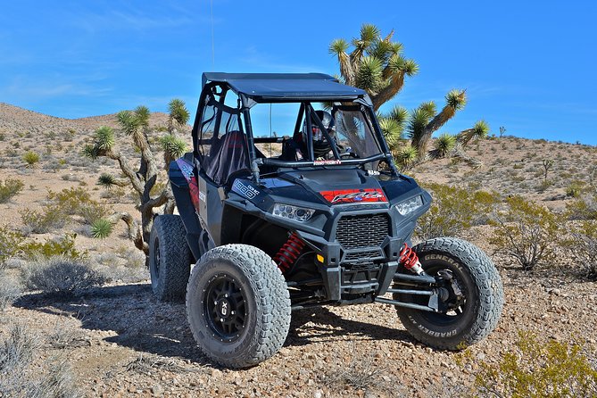 Las Vegas Desert RZR Adventure Tour at the Pioneer Saloon - Driving Conditions: Heat, Dust, and What to Expect Physically