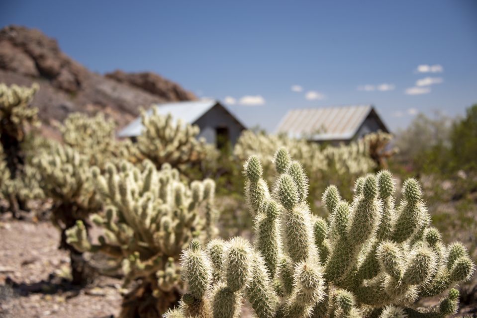 Las Vegas: Eldorado Canyon Gold Mine Tour - From Las Vegas Pickup to Eldorado Canyon in the Tour Trekker
