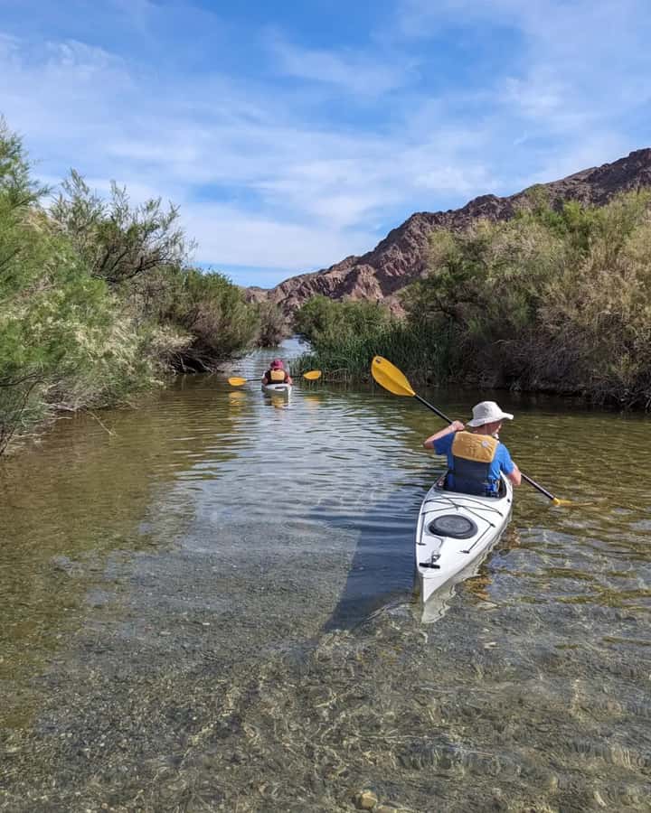 Las Vegas: Emerald Cave Kayak Tour with Photos - Wildlife Viewing That Doesn’t Feel Forced