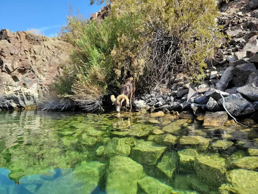 Las Vegas: Emerald Cave Kayak Tour with Photos - What’s Included, What You Pay For Separately, and Why It Adds Up