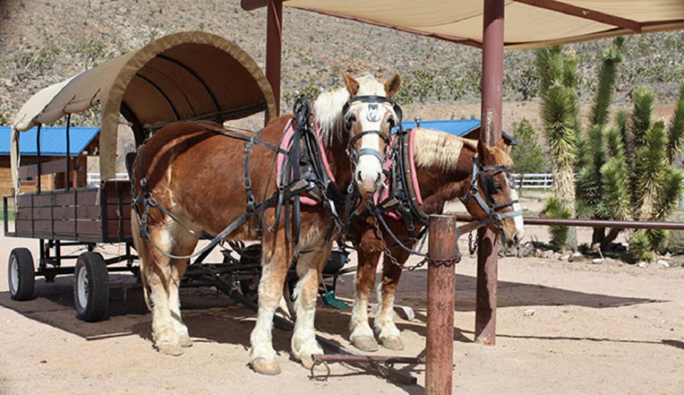 Las Vegas: Grand Canyon Ranch Tour with Horseback/Wagon Ride - Joshua Tree Forest Photo Pause: The Warm-Up Before Buffalo Country