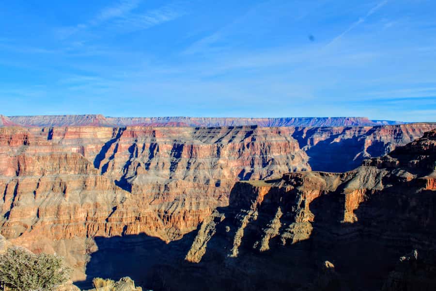 Las Vegas: Grand Canyon West Bus Tour with Guided Walk - Wildlife and plants: what to watch for without getting distracted
