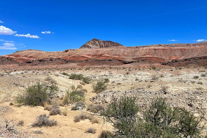 Las Vegas Guided Off-Road Adventure to Boathouse Cove - Redstone Dune Loop Trail stop: a quick photo break with deep-time geology