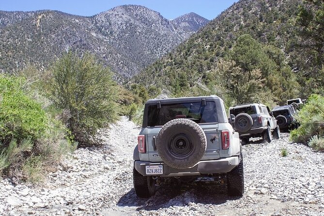 Las Vegas Guided Off-Road Adventure to Callville Wash - Timing and pace: a half-day that fits real schedules