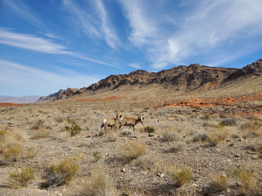 Las Vegas: Hoover Dam & Valley of Fire Day Trip with Brunch - What’s Included at Hoover Dam (and What Isn’t)
