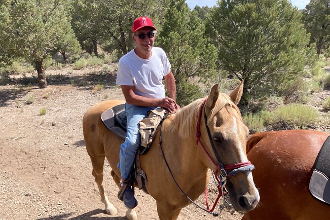 Las Vegas Horseback Riding Adventure - Your 75-Minute Trail Flow: Lesson, Horse Matching, Then the Ride