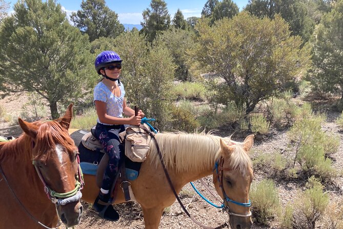 Las Vegas Horseback Riding Adventure - Price and Value: Why $85 Can Feel Fair or Frustrating