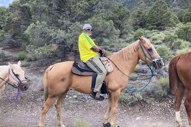 Las Vegas Horseback Riding Adventure - Getting There: Henderson Meeting Point and Real Pickup Advice