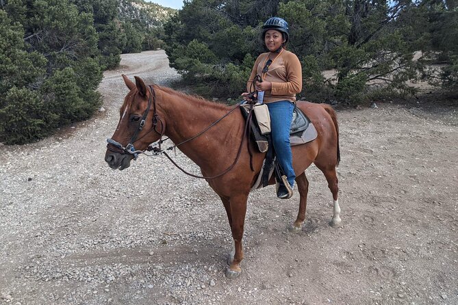 Las Vegas Horseback Riding Adventure - Reviews That Hit Hard: Photos, Timing, and Small Frictions