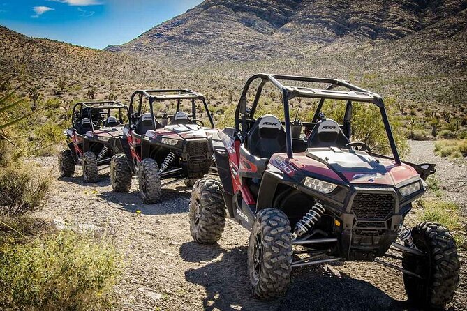 Las Vegas Mini Desert RZR Adventure - Key points before you go