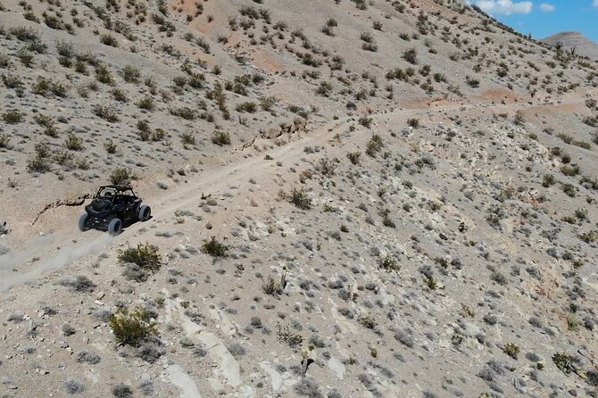 Las Vegas Mini Desert RZR Adventure - Seven Magic Mountains: quick art stop, with an optional Strip detour
