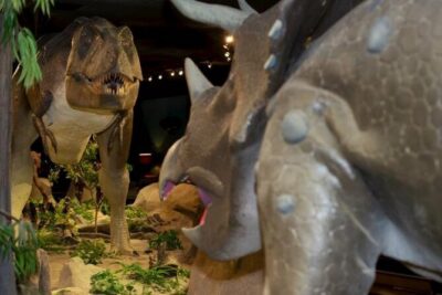 Las Vegas Natural History Museum Admission Ticket - Getting there: the address and the easiest plan