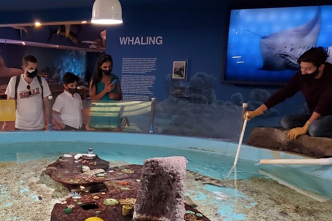 Las Vegas Natural History Museum Admission Ticket - African Savanna Gallery: watering hole energy and predator-prey storytelling
