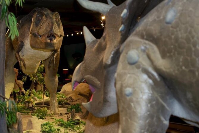 Las Vegas Natural History Museum Admission Ticket - Getting there: the address and the easiest plan