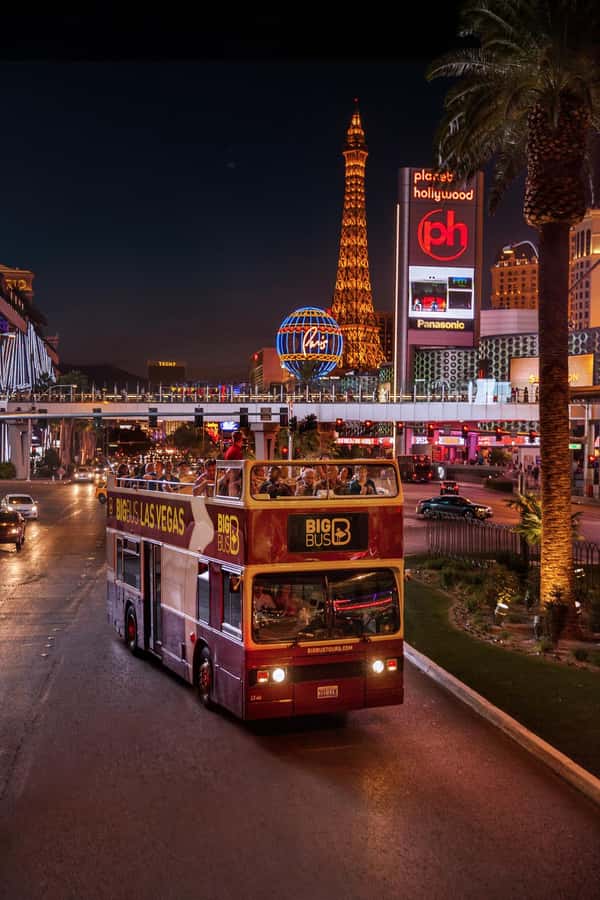 Las Vegas: Neon Museum Experience & Vegas Open-Top Bus Tour - Who this tour fits best