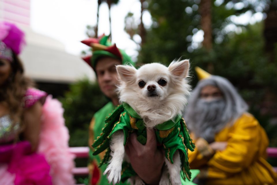 Las Vegas: Piff the Magic Dragon Show at the Flamingo - The Value Equation: Is $42 a Good Deal in Las Vegas?