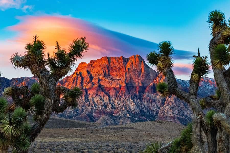 Las Vegas: Private Red Rock Canyon Guided Driving Adventure - Key things I’d circle on this tour
