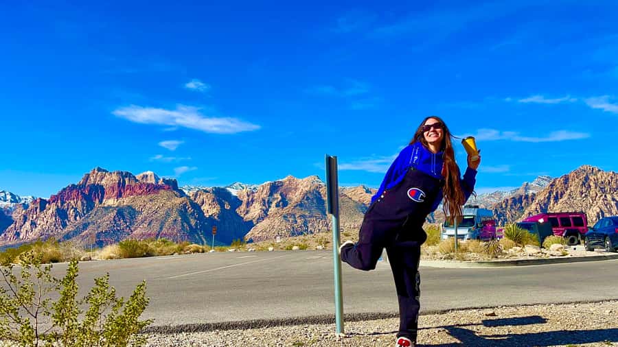 Las Vegas: Private Red Rock Canyon Guided Driving Adventure - Wildlife spotting without turning your day into a quest