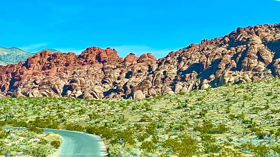 Las Vegas: Private Red Rock Canyon Guided Driving Adventure - Price and value: is $117 per person a fair deal?