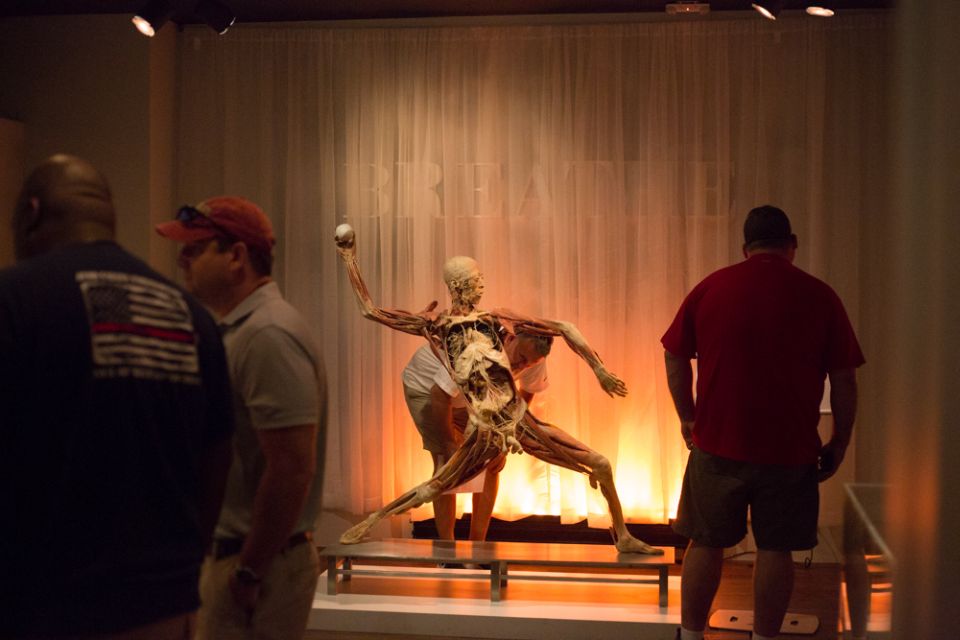 Las Vegas: REAL BODIES at Horseshoe Las Vegas Entry Ticket - Key Highlights to Know Before You Go