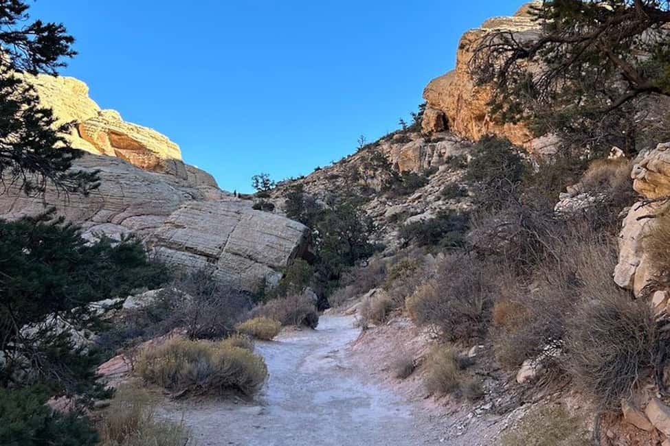 Las Vegas: Red Rock Canyon Guided Hike with Pickup - Visitor Center stop: learning the desert story without a lecture