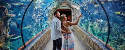 Las Vegas: Shark Reef Aquarium Entry Ticket - Price and Timing: Getting Value From a $29 Ticket