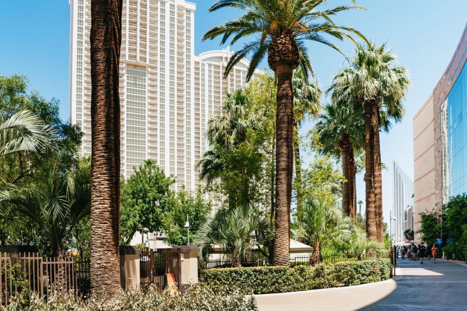 Las Vegas Strip: 3-Stop Pool Party Crawl with Party Bus - Timing and meeting point: avoid the common start-time headaches