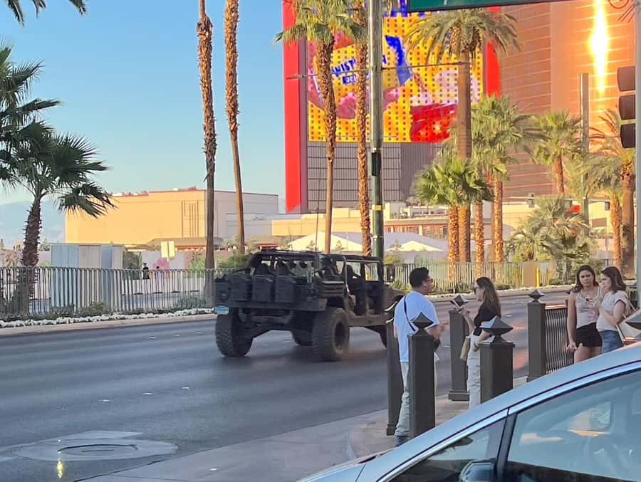 Las Vegas Strip Sightseeing Tour in a Military Hummer - Wedding Chapel Row: The Marriage Capital Row-View Moment